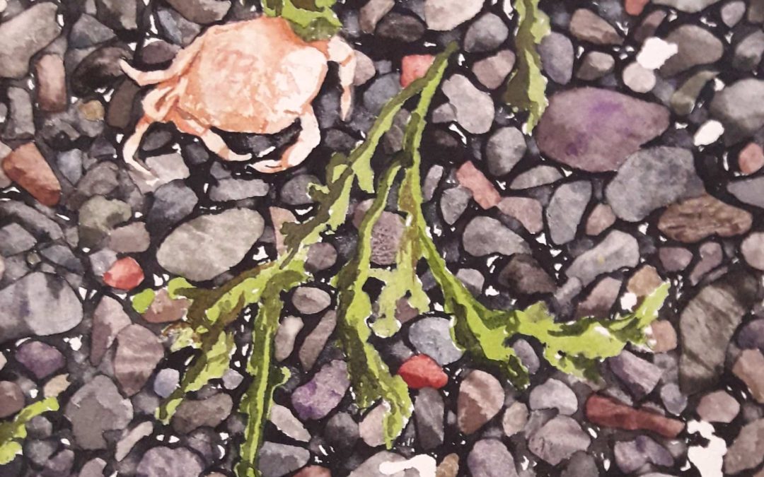 Left Behind at Browning