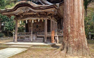 A Visit to Echizen Washi Village